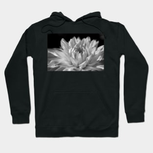 Dahlia Hoodie